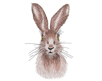 Peut inclure: Un gros plan sur le visage d'un lapin brun avec de longues moustaches et de grands yeux sombres. Le lapin regarde directement le spectateur.
