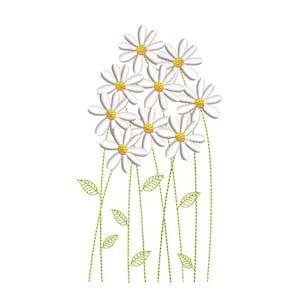 May include: White daisy flowers with yellow centers on green stems with leaves.