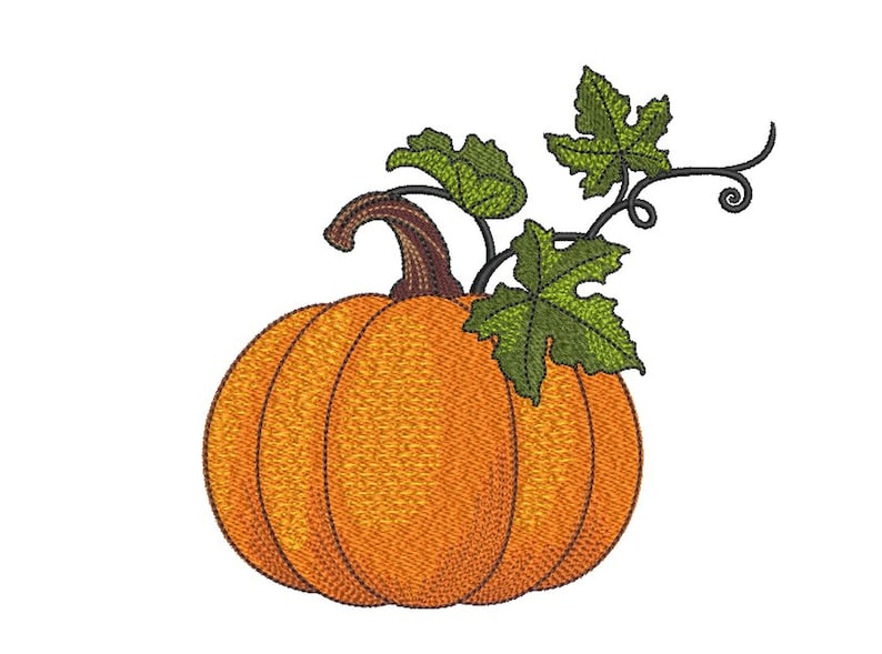 May include: A single orange pumpkin with a green vine and leaves. The pumpkin has a brown stem.