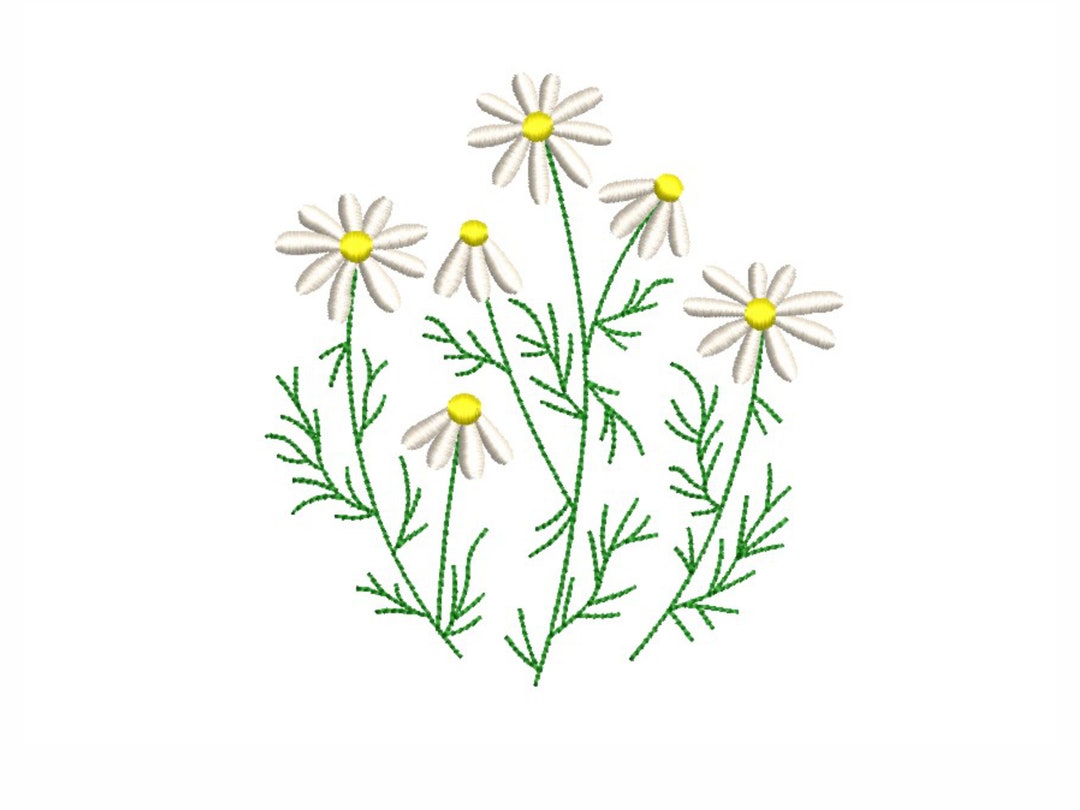 Daisies Embroidery Design Etsy