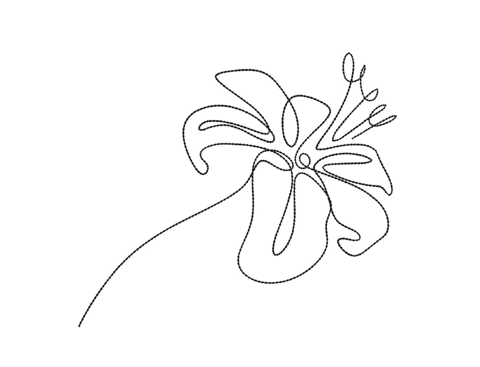 Lily Flower Line Art Machine Embroidery Design 5 Sizes Etsy