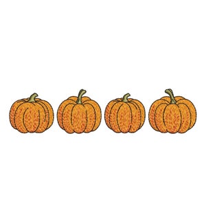 Puede incluir: Cuatro calabazas naranjas con tallos verdes dispuestas en fila.