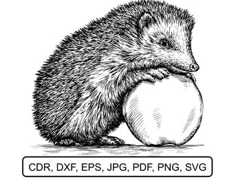 Download Floral Hedgehog Svg Etsy