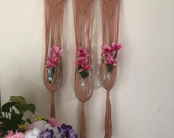Macrame Plant Hanger with Driftwood