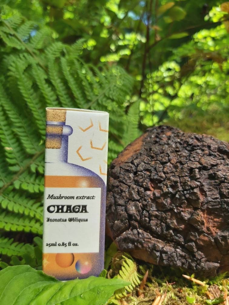 Chaga Mushroom tincture - Liquid Dual Extract (25ml)