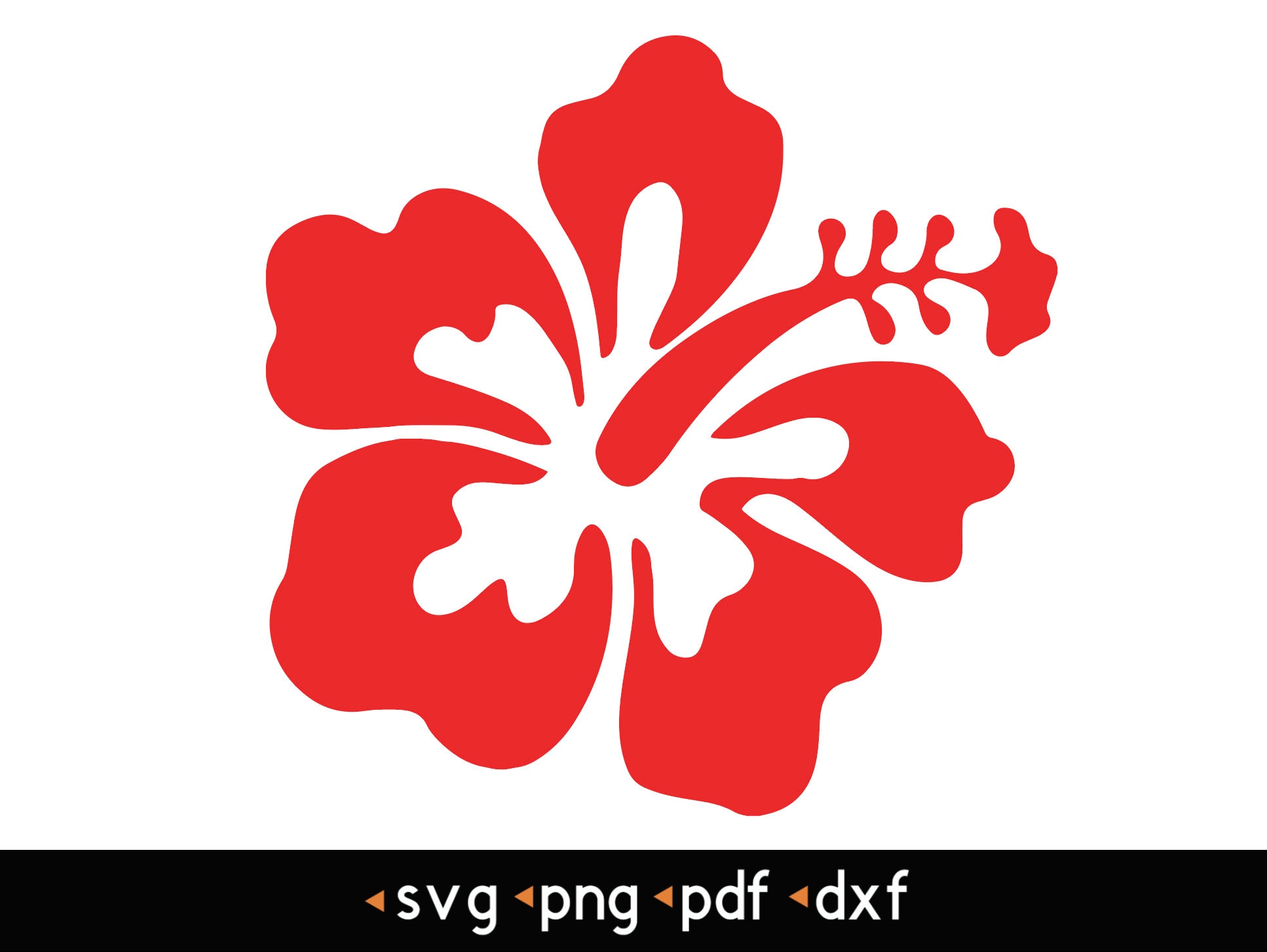 Moana Flowers Svg Norway