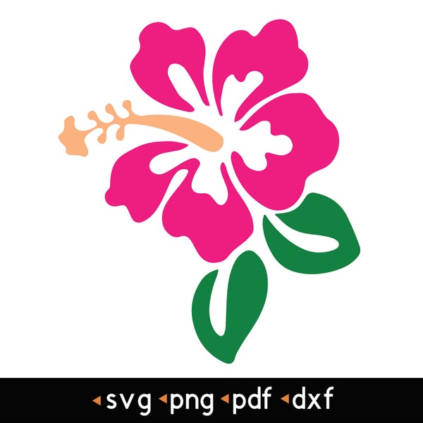 Hawaiian Flower Svg - Etsy