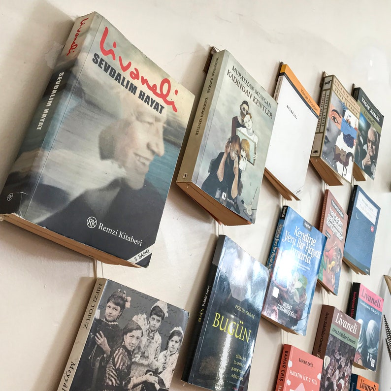 May include: A collection of books with various covers, mounted on a wall. The books have different titles and cover designs, including portraits and abstract art. The books are displayed in a diagonal arrangement.