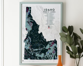 Mappa delle terre pubbliche dell'Idaho - 24x36