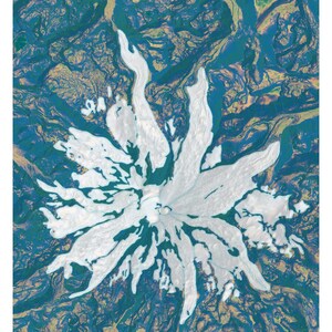 May include: A topographic map of Mount Rainier, a snow-capped mountain in Washington state, with a blue, green, and yellow color scheme. The map shows the slope angle shading of the mountain.