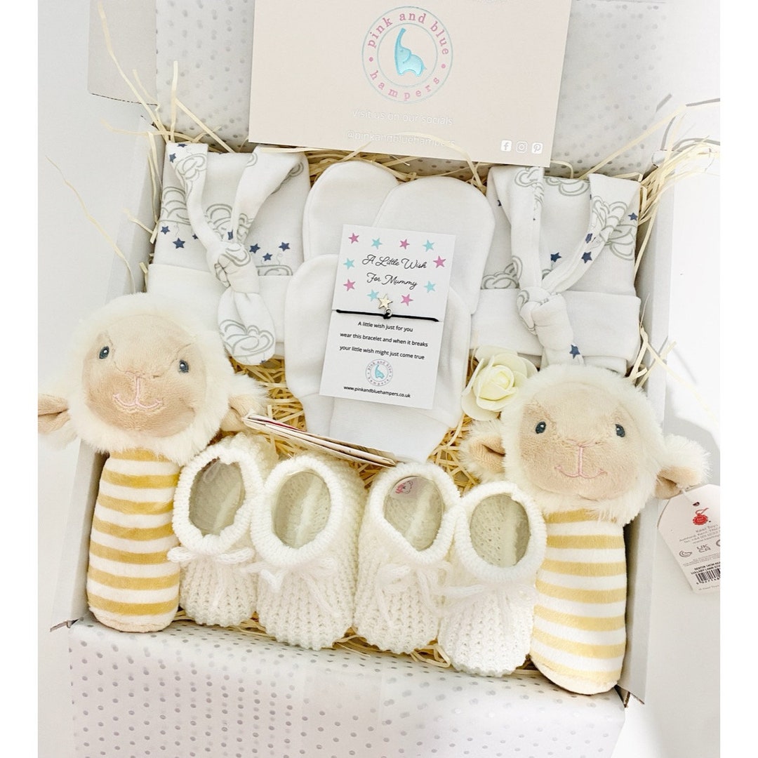 Adorable Twin Unisex Baby Gift Set, Twin Gift Set, Twin Baby Shower