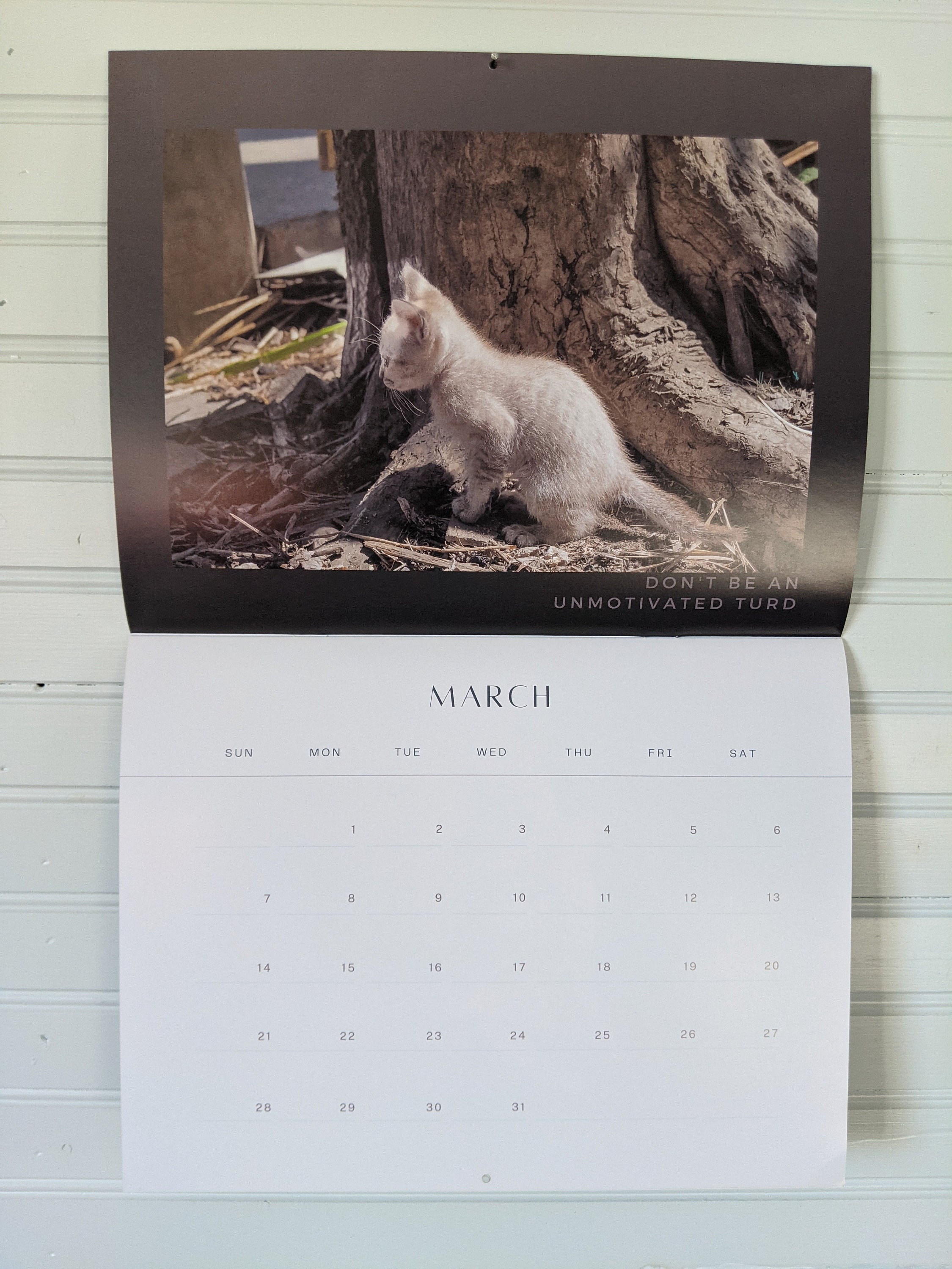 Pooping Cat Calendar 2021 Shitten Kitten Wall Calendar cat Etsy