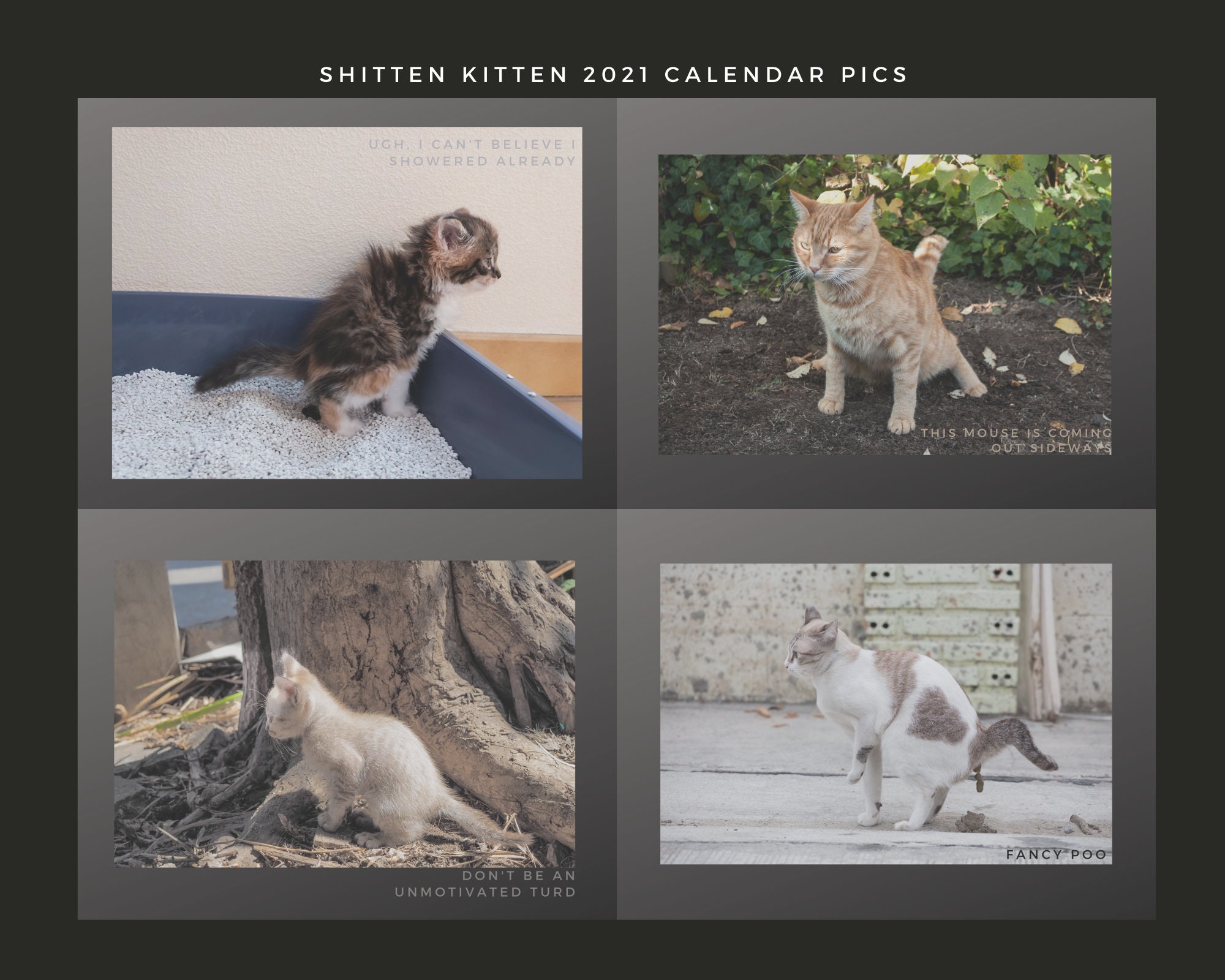 Pooping Cat Calendar 2021: Shitten Kitten Wall Calendar cat | Etsy Pooping Cat Calendar 2021: Shitten Kitten Wall Calendar cat | Etsy