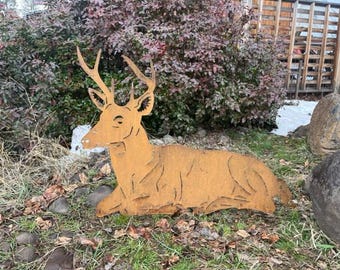 Bedded Buck