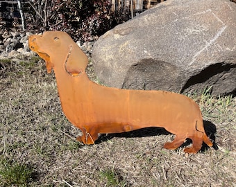 Dachshund