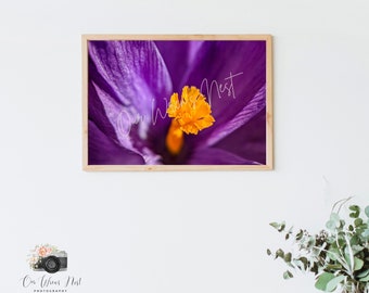 Printable Digital Print Download - Pretty in Purple - Flower/Nature Photography - Wall Art