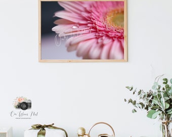 Perfect Pink Drop - Photography Print | Wall Decor | Photography Art Print