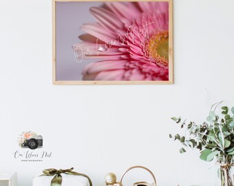 Perfect Pink Drop 2 - Photography Print | Wall Decor | Photography Art Print