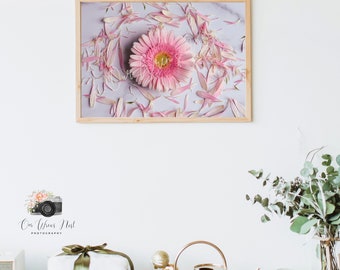 Perfectly Pink - Photography Print | Wall Decor | Photography Art Print