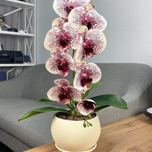 Arrangement d'orchidées dans un pot en céramique, tige d'orchidée en latex, orchidée réaliste, orchidée au toucher réel dans un vase en soie