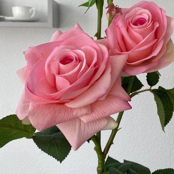 Roze Real Touch Roses, Latex Roses, Blush Rose, Stoffige Roze Rozen, Real Touch Rose, Real Feel Roses, Kunstmatige rozen, Roze rozen
