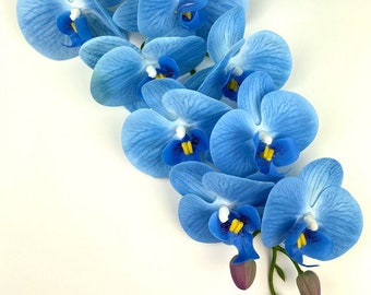 Orquídea azul - Etsy México