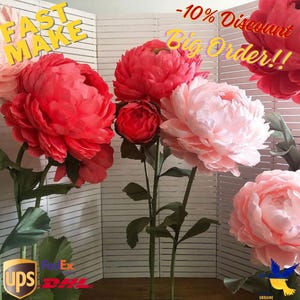 Grandi fiori di carta Carta gigante peonia Matrimonio Fiore di carta Decorazione di nozze Sfondo muro Decorazione Evento Fiore con gambo