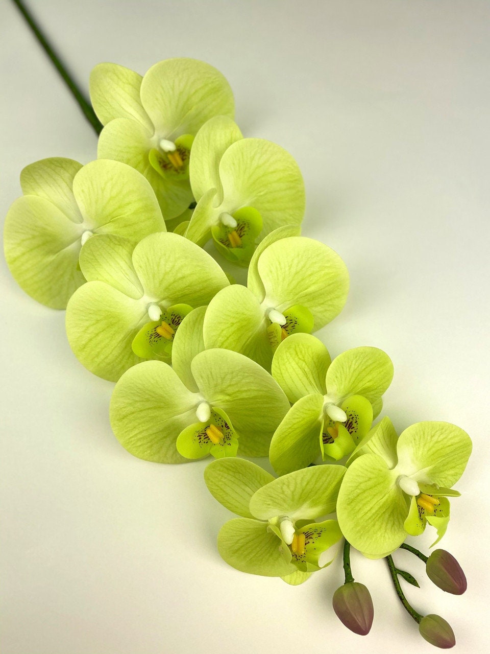 Real Touch Orchid Flowers 9 Heads Yellow Green Orchid Stem