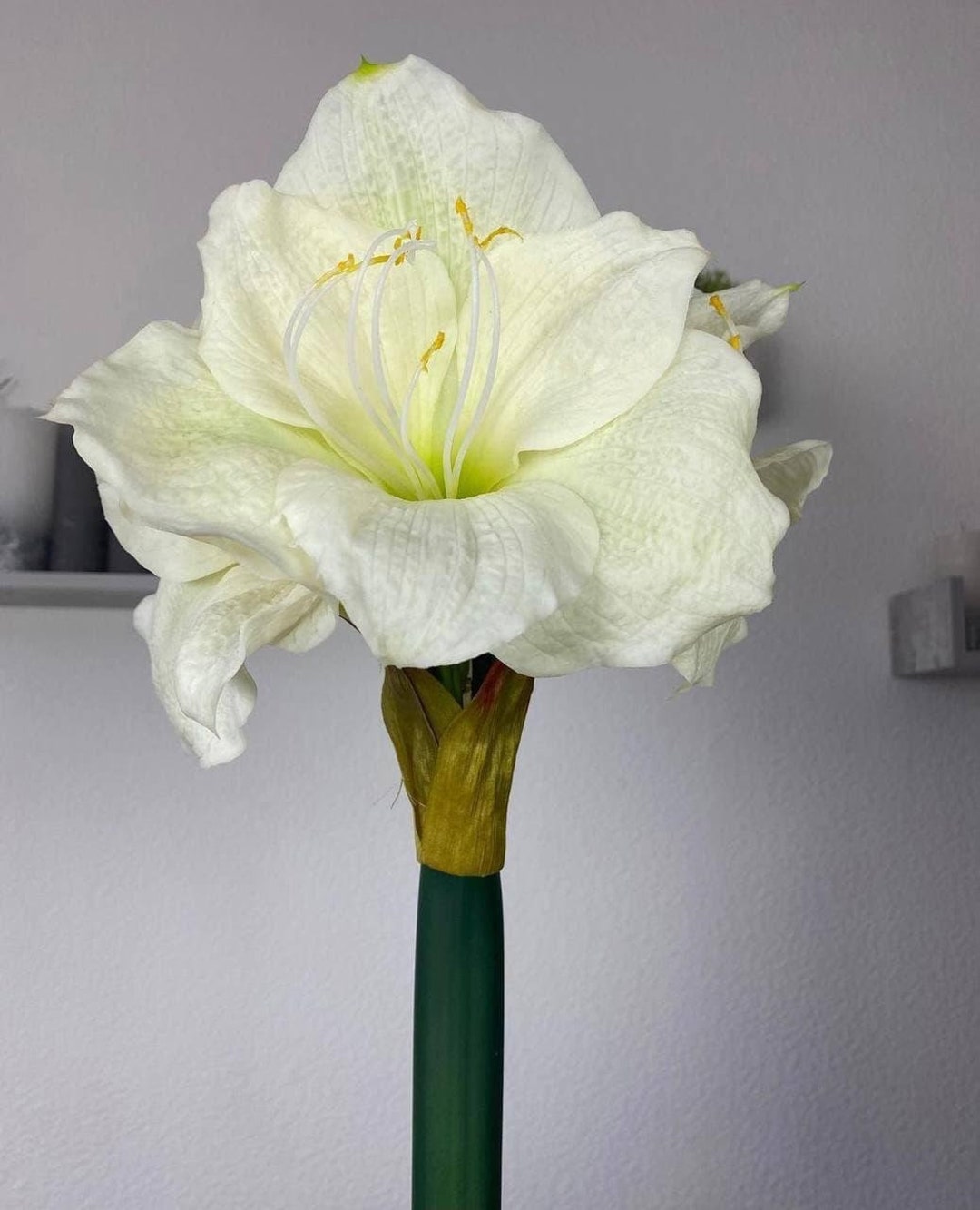 Real Touch Amaryllis 41 Latex Flowers Single Stem Amaryllis Giant