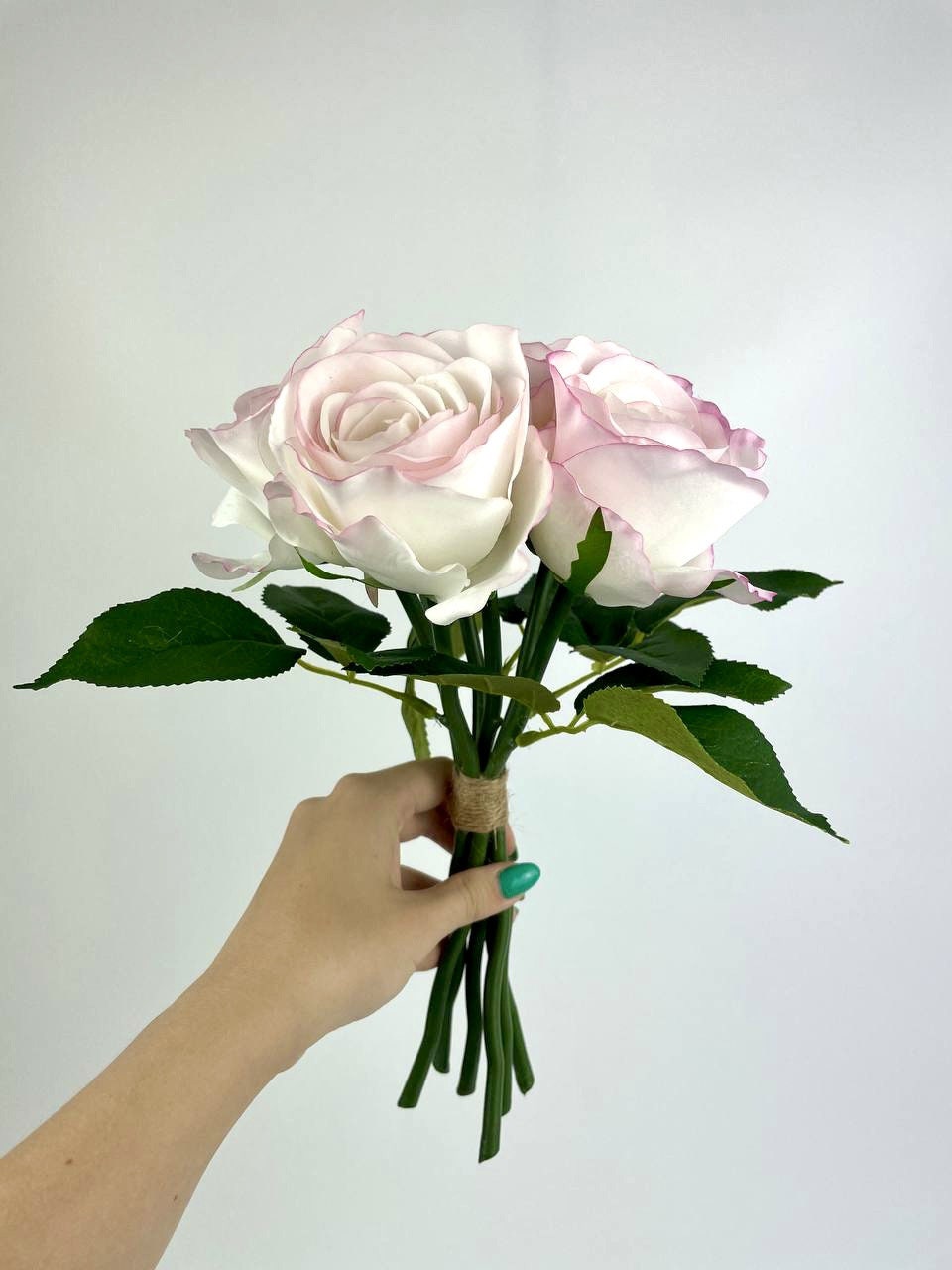白い水差しのバラ 白い水差しのバラ 白い水差しのバラ White rose / ホワイト