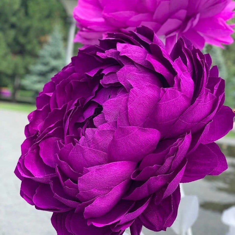 Large Paper Flowers Giant Paper Peony Wedding Paper Flower Etsy