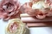 Italian Crepe Paper Rolls, Paper flowers, Wrapping paper, decor, Paper Craft Supplies, Crepe Paper Decor, Table Decor, Florist Gift Wrap 