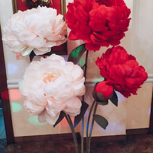 Set di 10 fiori di carta giganti. Enorme peonia di carta. Sfondo di fiori di carta, vetrina di un negozio, muro della festa del giardino