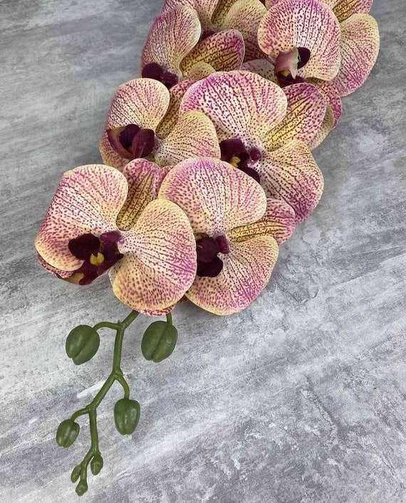 Disposizione di orchidee finte, vero tocco orchidea stelo, Phalaenopsis, orchidee  artificiali, orchidee in lattice, fiore di orchidea -  Italia