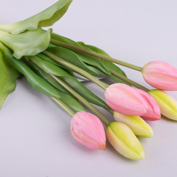 Crochet Tulip Preserved Flowers - Pink - Wonderland Case