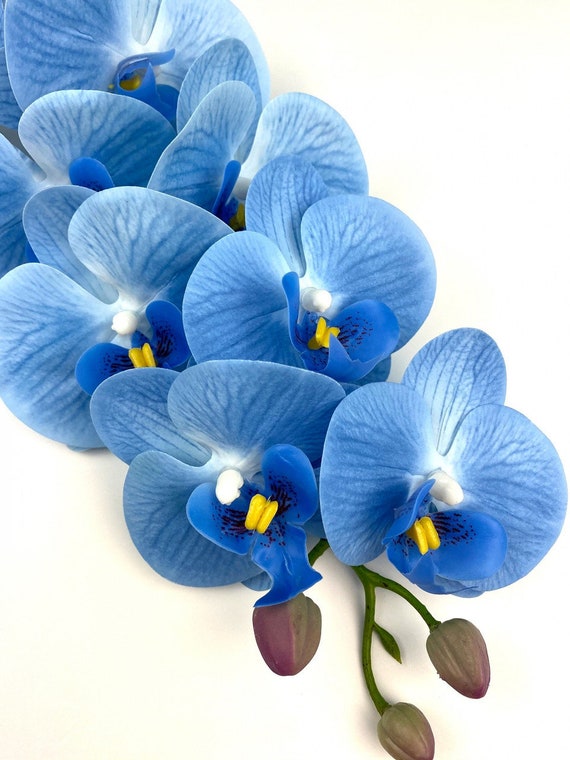 Orchidea blu 9 teste, stelo di orchidea blu brillante, orchidee artificiali,  ramo di orchidea in lattice, orchidea turchese -  Italia