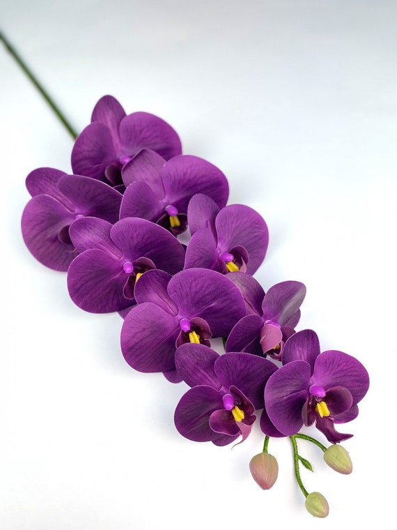 Stelo di orchidea viola, stelo di orchidea realistica, ramo di
