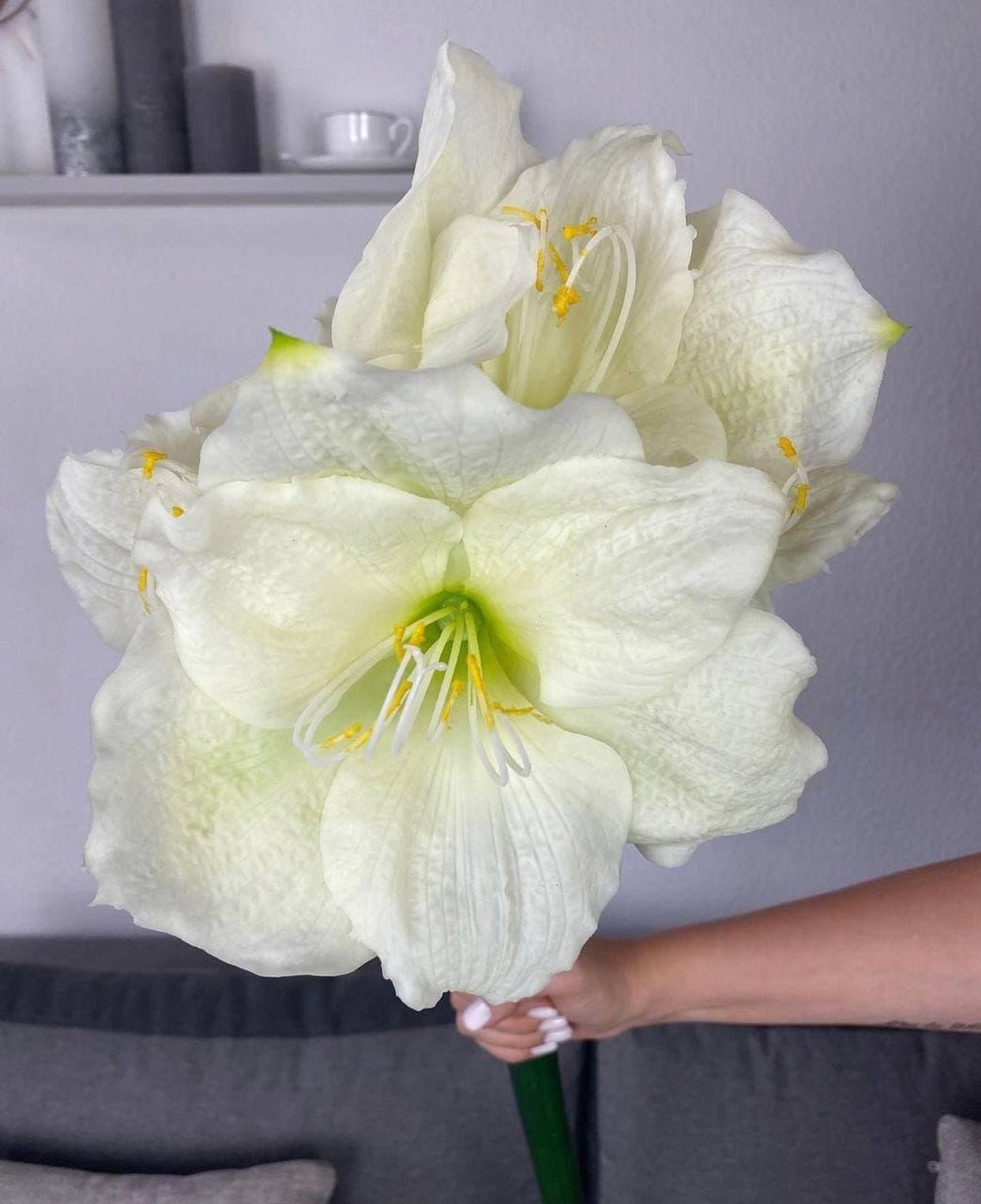 Real Touch Amaryllis 41 Latex Flowers Single Stem Amaryllis Giant