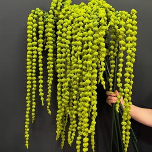 Puede incluir: Un ramo de tallos de amaranto artificial colgantes en un vibrante color verde lima. Cada tallo presenta una larga hebra en cascada cubierta de pequeñas flores texturizadas en forma de cuentas que cuelgan de tallos delgados de color verde oscuro.