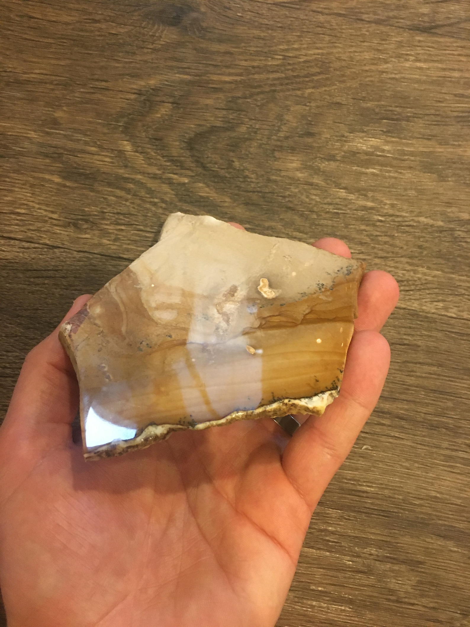 China Hollow Jasper, Oregon Polished Jasper/opal Slab Stand Etsy