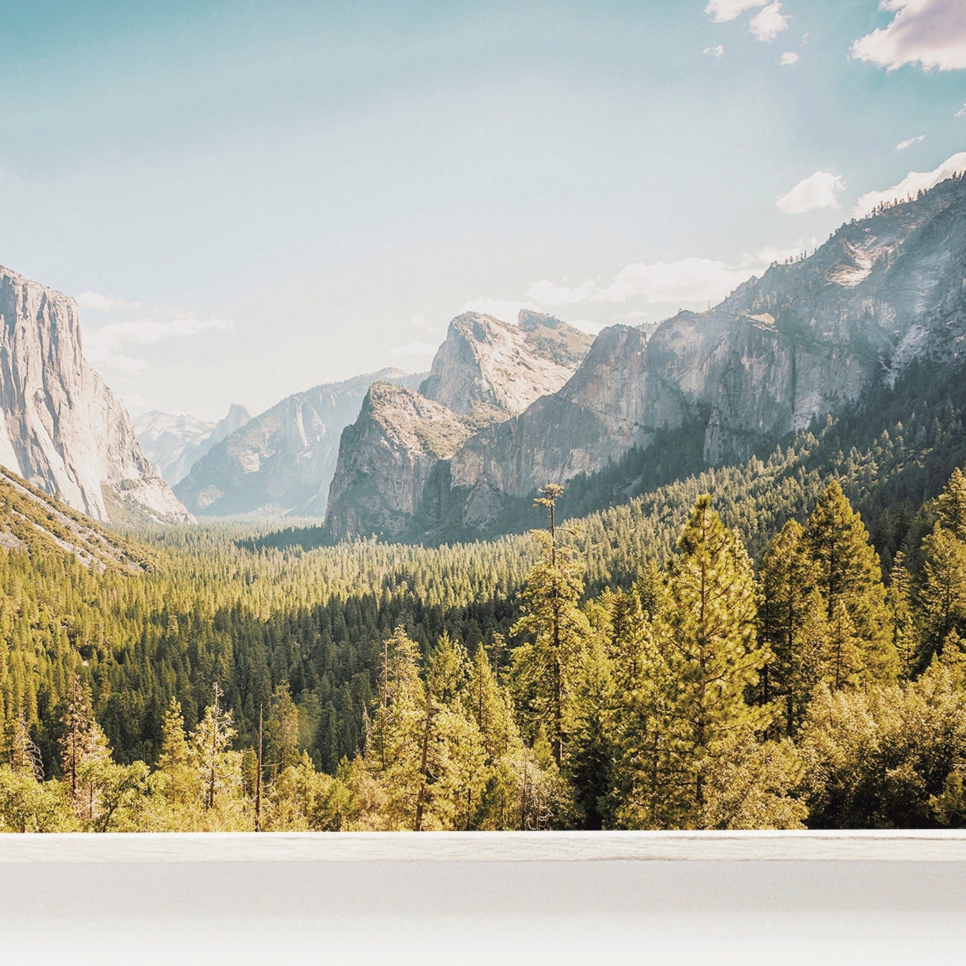 夏のヨセミテ渓谷、北カリフォルニア国立公園、ヨセミテの荒野、自然の