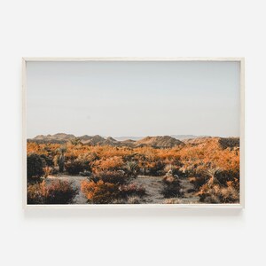 Boho Desert Wall Art, California Landscape, Sunset Desert Print, Boho Bedroom Decor, Horizontal Wall Art, Golden Hour Desert Photo