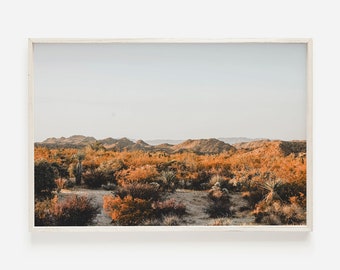 Boho Desert Wall Art, California Landscape, Sunset Desert Print, Boho Bedroom Decor, Horizontal Wall Art, Golden Hour Desert Photo