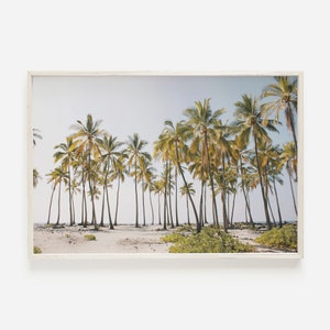 Palmeras de playa tropicales, paisaje de vacaciones de verano, racimo de palmeras, estampado de cocoteros, día soleado en la playa, arte de la pared de palmeras tropicales, decoración costera