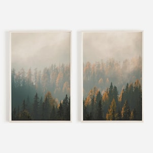 Misty Autumn Forest Print Set of 2, Colorado Evergreen Trees, Autumn Nature Photography, Set of 2 Prints, Mountain Trees Posters