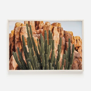 Ocotillo Kaktus gegen Klippe, Süd Arizona Wandkunst, Ocotillo Kaktus druckbare, Felsige Wüste Fotografie, Southwest Home Decor