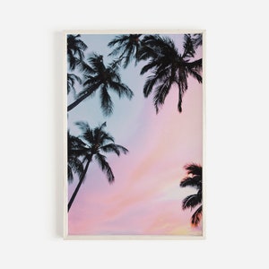 Palm Tree Against Pink Sky, Cotton Candy Sunset, Palm Tree Silhouette, Black Palms Photo, Palm Tree Scenery, Tropical Wall Decor