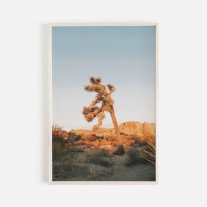 Joshua Tree Sunset, California Desert, National Park Print, Desert Landscape, Southwest Decor, Joshua Tree Print, Joshua Tree Desert