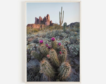 Purple Cactus Flowers, Desert Landscape Print, Pastel Cactus Photo, Cotton Top Cactus, Modern Desert Photography, Cactus Printable Cacti Art