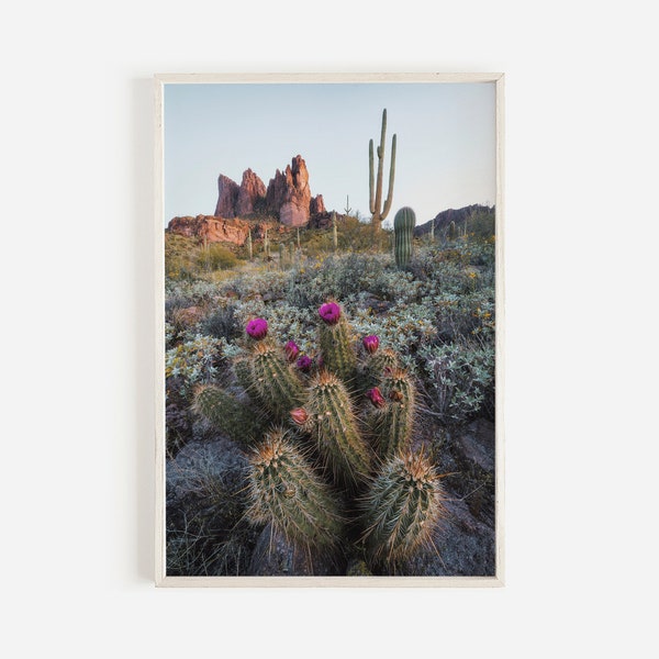 Purple Cactus Flowers, Desert Landscape Print, Pastel Cactus Photo, Cotton Top Cactus, Modern Desert Photography, Cactus Printable Cacti Art